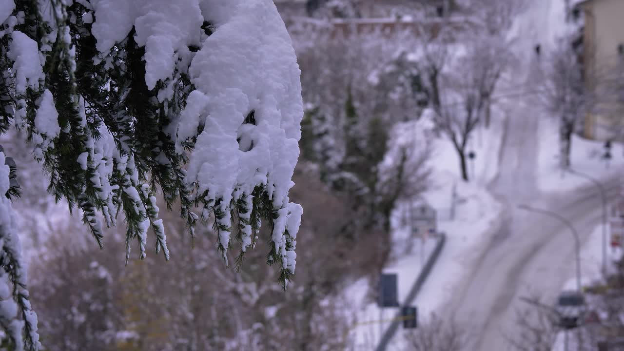 뒤에 거리가 있는 눈 인 나무, 가디아그레레, 아브루초, 이탈리아