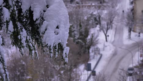 Snow-covered-tree-with-the-streets-in-the-background,-Guardiagrele,-Abruzzo,-Italy