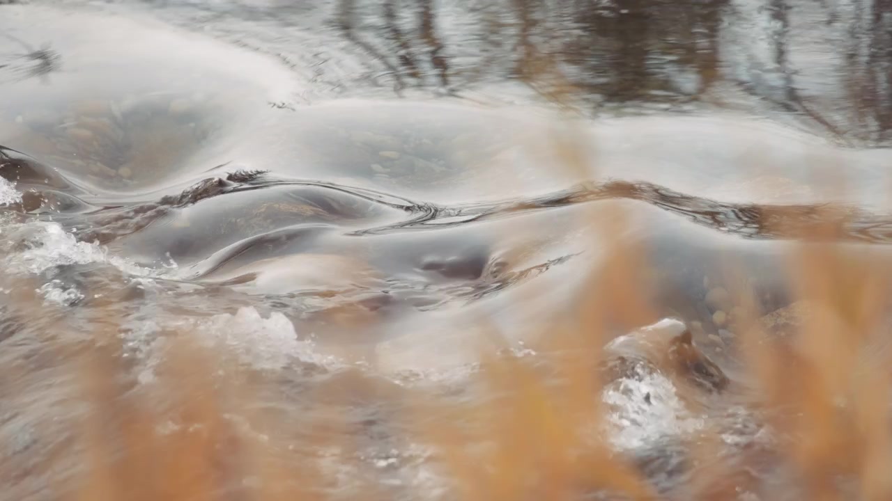Primo piano di acqua che scorre dolcemente in un ruscello