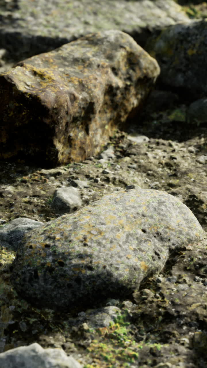 Gruppo di rocce lisce ricoperte di licheni chiari e particelle granulari