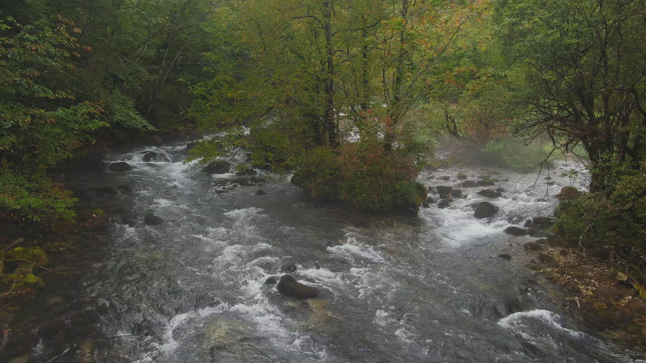 Scorcio panoramico di un fiume che attraversa la foresta