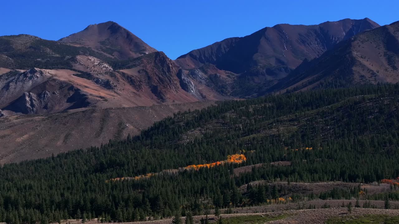 Mammoth Mountain Lakes Ski Area Sierras Nevadas Lake Mary Convict Canyon aerial drone California summer autumn fall Aspen Trees sunny blue sky Inyo National Forest forward pan up motion