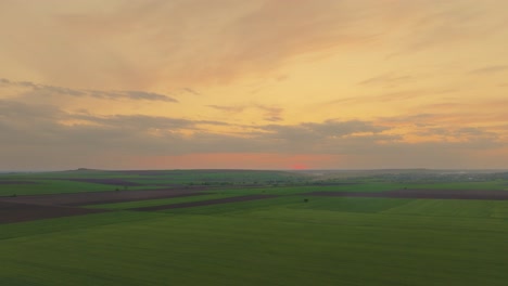 Aerial-shot-showing-green-agricultural-fields-sunset-in-the-background,-HDR