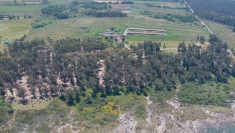 drone-movement-above-the-green-farm-yard