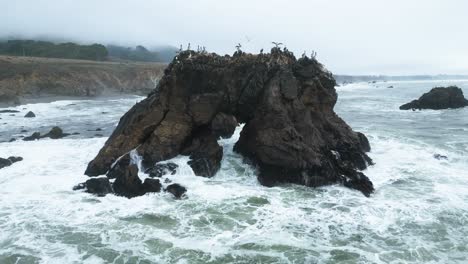 slow motion of waves crashing on arched rock as sea birds land, sonoma county bodega bay along pacific highway 1 coast, california