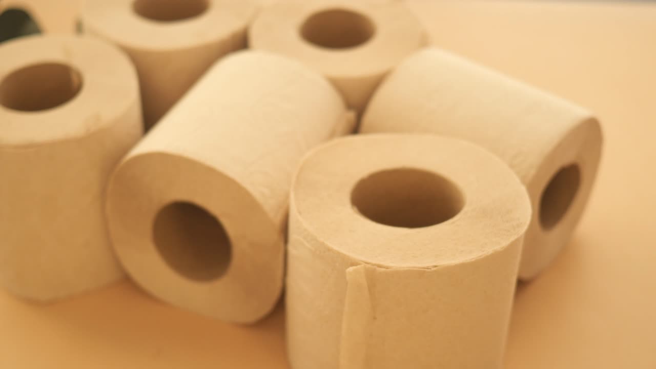 廁所紙卷 (包括廁紙卷)