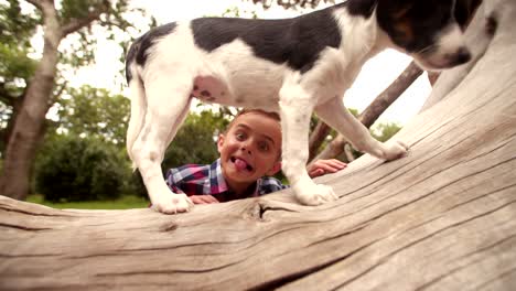 boy and puppy dog sitting on tree branch in park