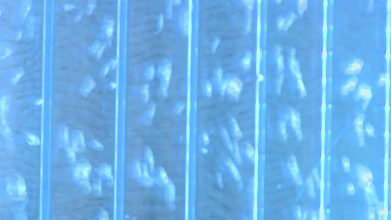 luces de burbujas en la sala sensorial para niños autistas