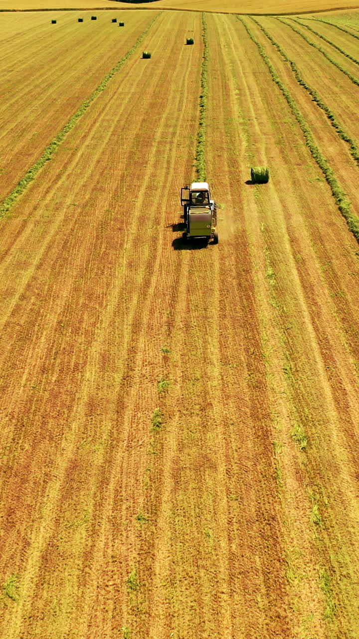 Agricultural machinery pressing green grass in the field. Harvester and tractor in field press grass into bundle in a sunny day. Aerial view. Vertical video