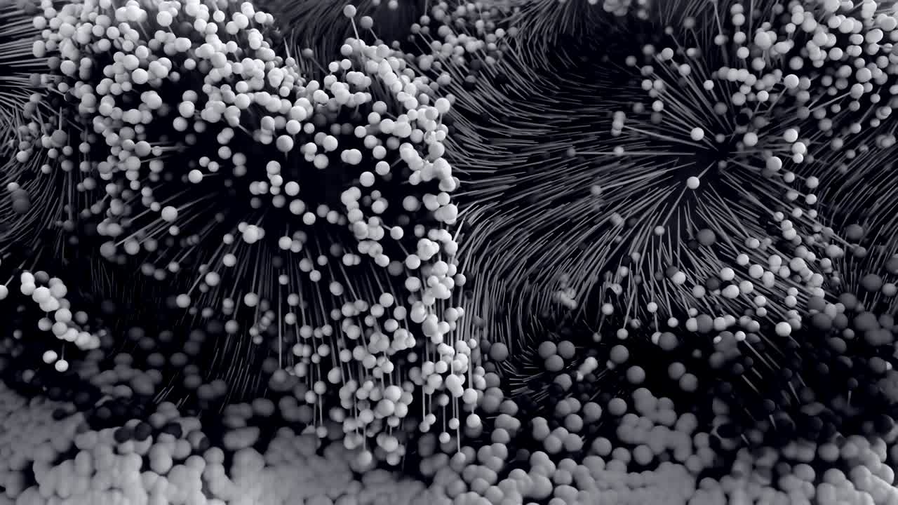 추상적인 성장 구조.