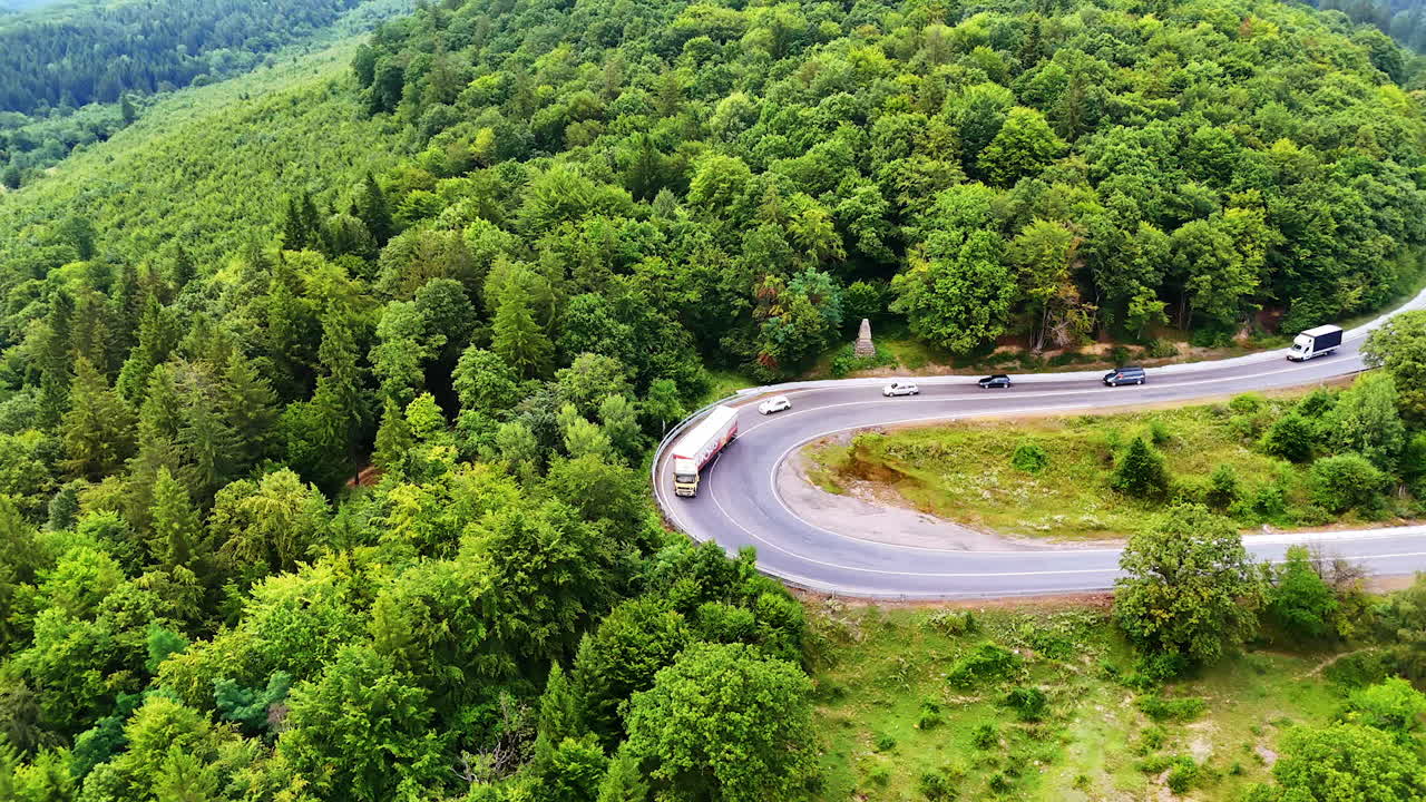 Winding road in green forest. Vehicles travel along a winding road surrounded by lush green trees in a tranquil forested area
