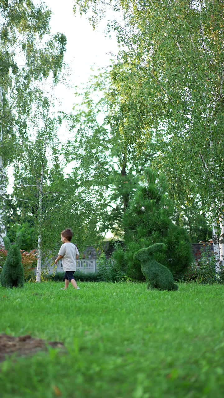 Little boy runs by the green grass distancing from camera. Kid comes up to a arborist figures of bunnies in the garden. Vertical video.