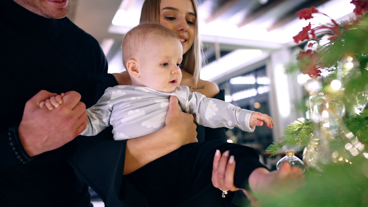 Barefoot baby boy in his parents' hands near the Christmas tree. Child touches the tree branches with bare foot.