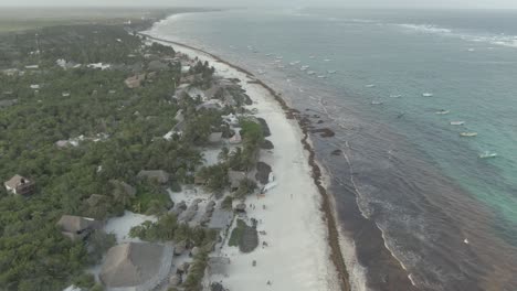 vacations in tulum beach, paradisiacal beach in tulum, sea taken by sargasso algae 10