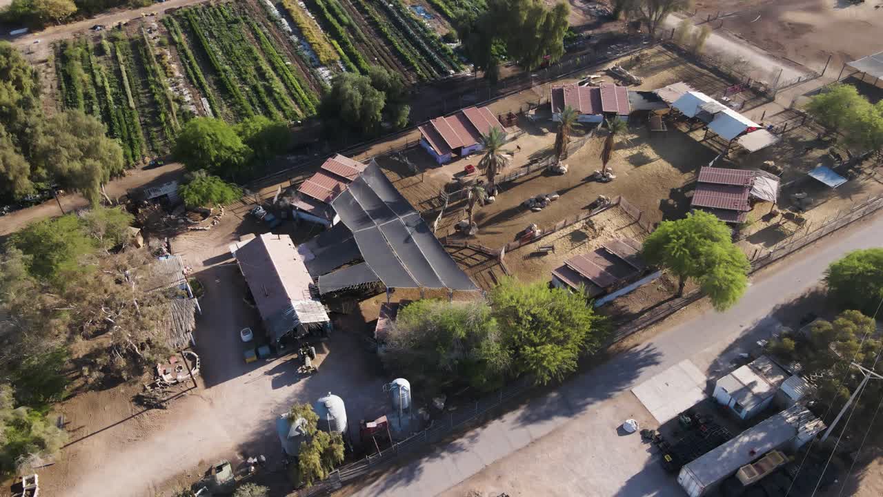 Neot Smadar kibbutz's animal farm with stables, poultry pens, and organic vegetable gardens, highlighting sustainable farming practices, filmed in real time top down drone shot.
