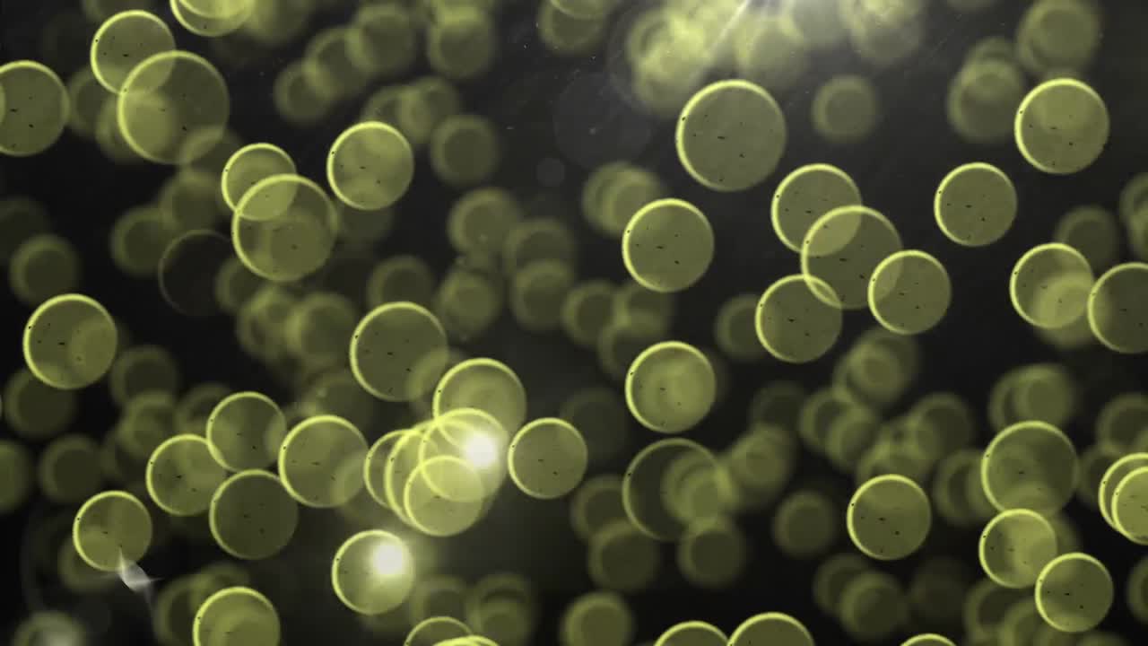 animación de círculos amarillos y bokeh brillante