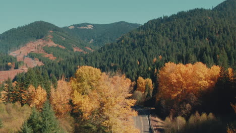 4k aerial road in colorful forest in fall with evergreen hills in background drone jib up