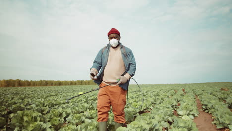 African-American-Farmer-Spraying-Cabbage-on-Field