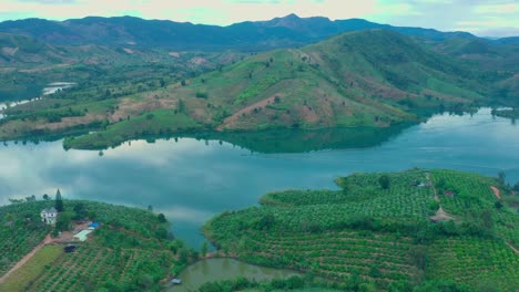 Drohnenansicht-Des-Flusses-Po-Ko,-Mit-Kaffeefarm-Auf-Dem-Hügel-Und-Blühender-Kaffeeblume-Auf-Dem-Hügel---Stadt-Dak-Ha,-Provinz-Kon-Tum,-Zentrales-Hochland-Vietnam