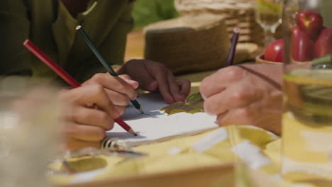 drawing nature on a picnic