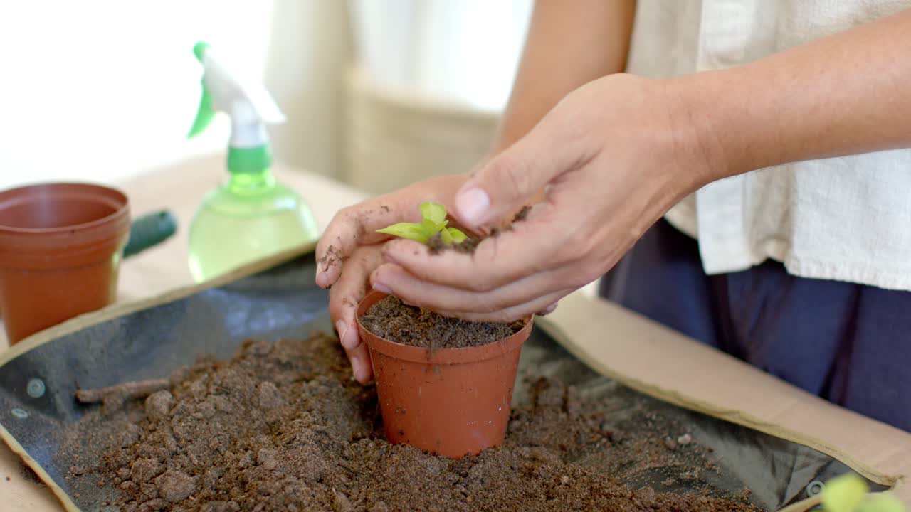 Persona jardinera no binaria africana sosteniendo una plántula, plantándola en una maceta de terracota en casa para trasplantar.