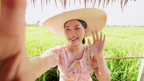 adult woman making video call showing large rice production field