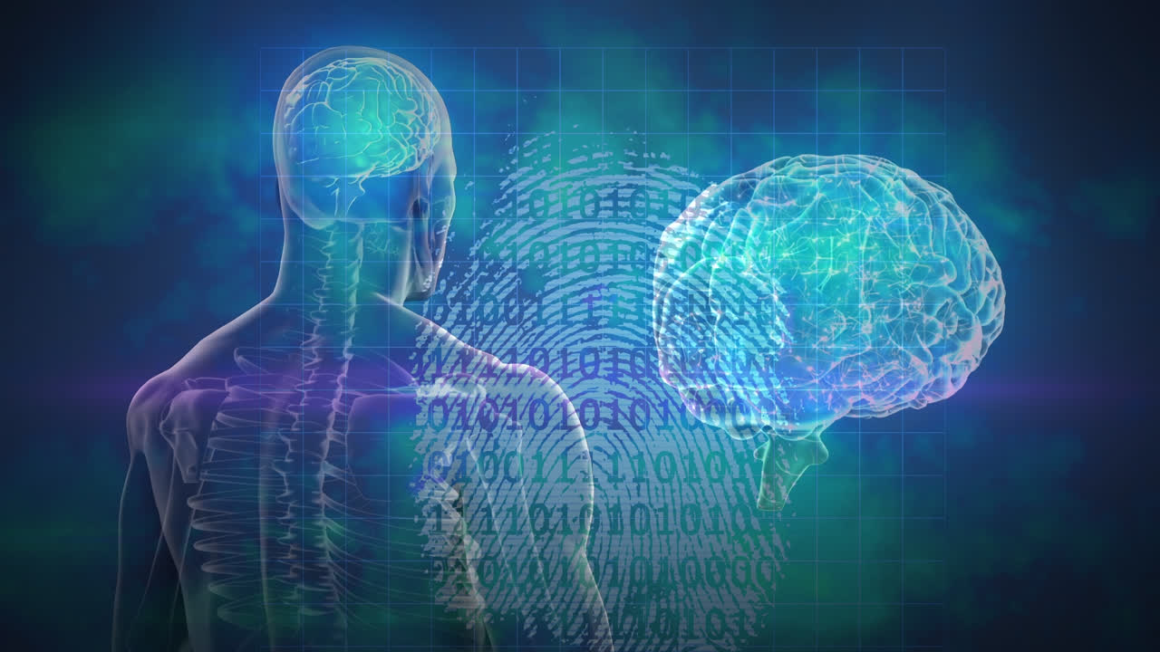 animación del cerebro y el modelo humano girando sobre el fondo con huellas dactilares y código binario