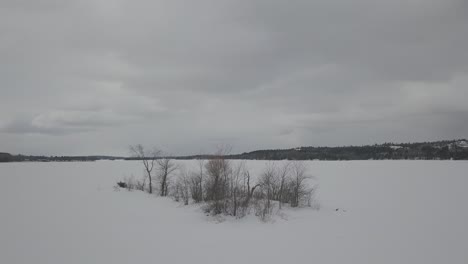 árboles-En-Medio-De-Un-Lago-Congelado,-Drone