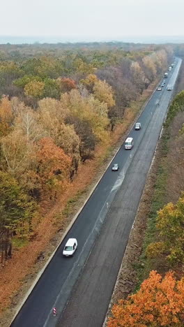 aerial view of autumn road with cars. many cars are moving on one side of the road in autumn forest. camera moves right. vertical video