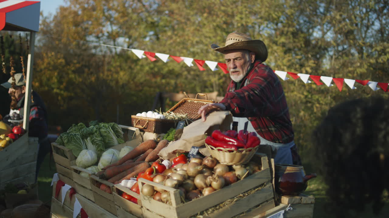 Farmer Lays out Fruits and Vegetables Farmer Lays out Fruits and Vegetables Owner of Point of Sale Looks Forward to Start Productive Work Day Elderly Woman Engages Favorite Job Vegetarian and Organic Food Agriculture