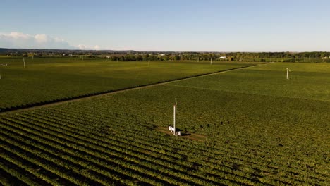 Vista-Aérea-De-Unos-Impresionantes-Campos-De-Viñedos