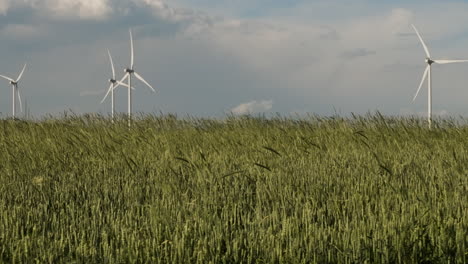 granja de generadores eólicos sobre tallos de viento en campos de gori, georgia