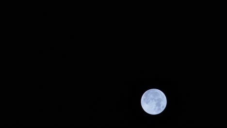 view of the moon from space