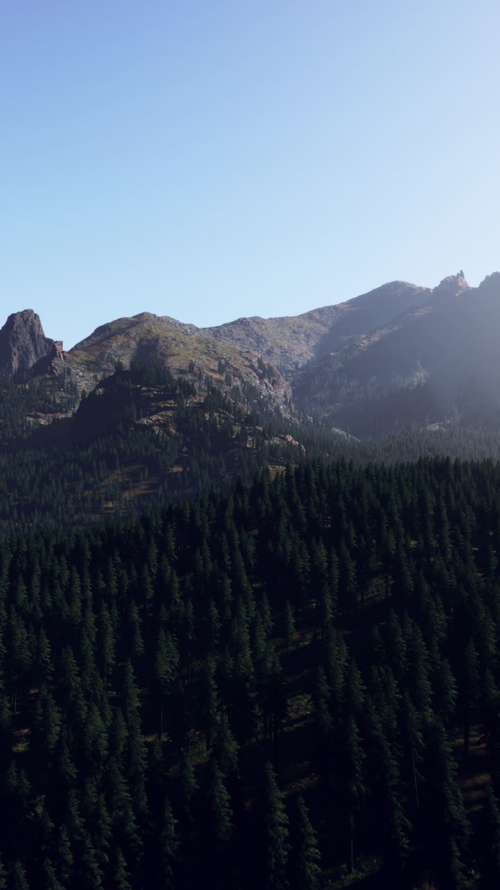paisaje montañoso con bosque y cielo azul