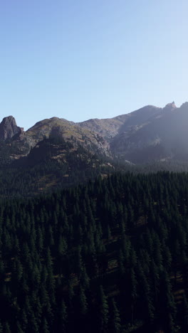 mountainous landscape with forest and blue sky
