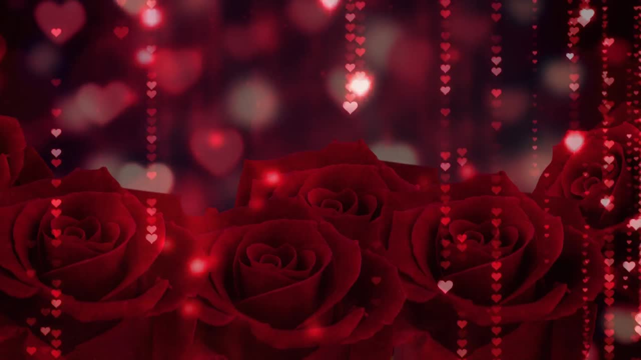 장미 위에 떨어지는 심장 아이콘의 애니메이션