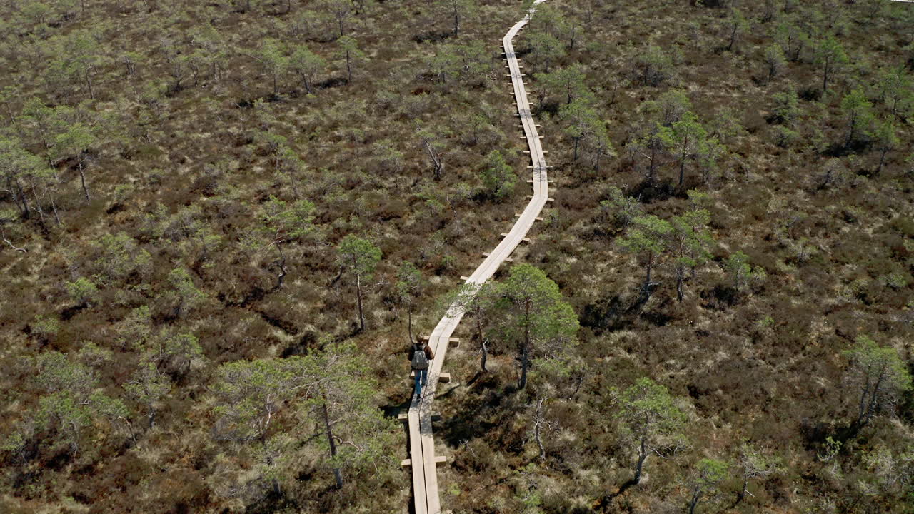 toma cinematográfica de un packpacker caminando por un sendero pantanoso