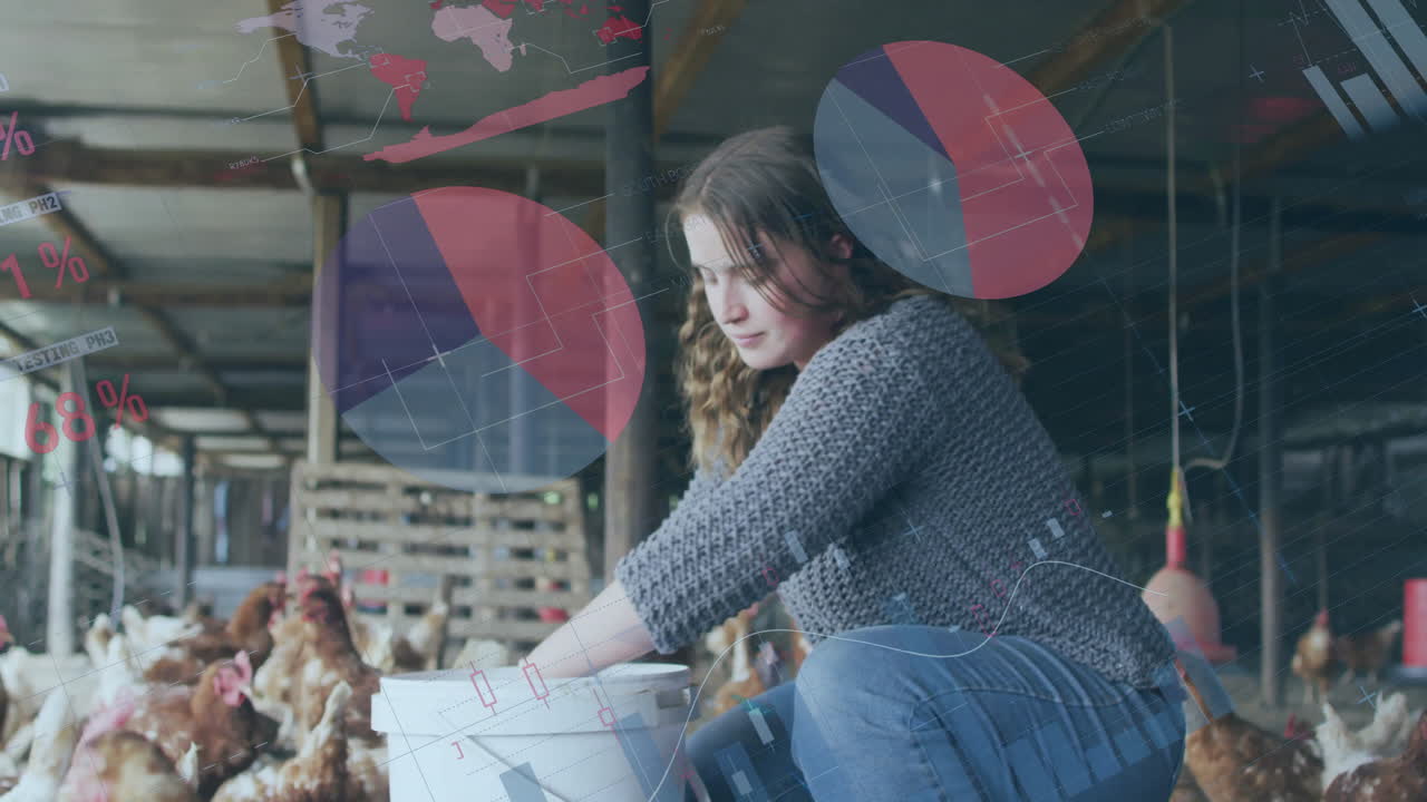 In barn, person tending chickens with animation of data visualization overlay