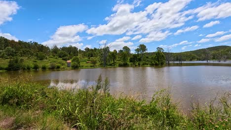 serene lake view with lush greenery and sky