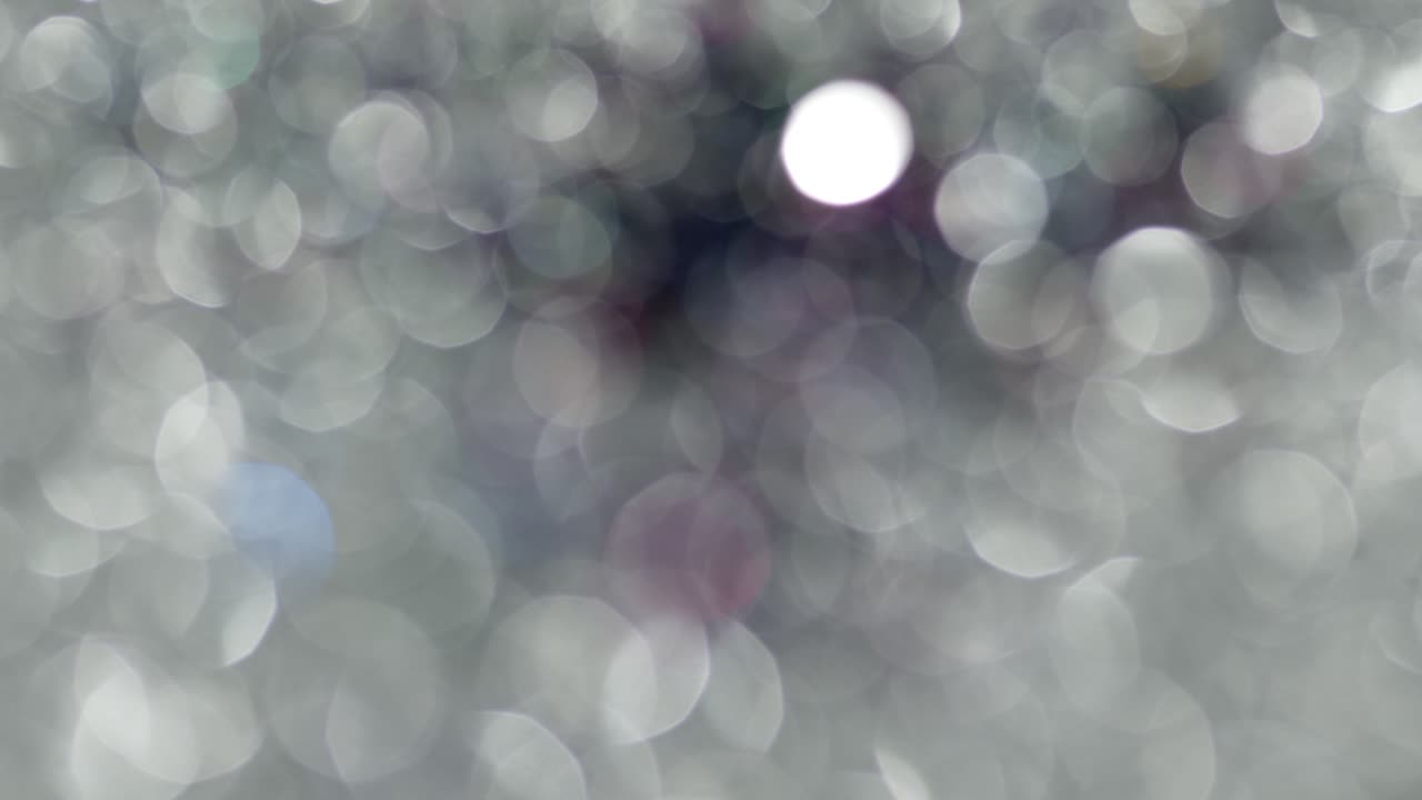 la luz multicolor filtra imágenes de 4k en fondo negro, estilizando el video, las transiciones, el efecto bokeh.