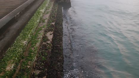 Pasos-Cubiertos-De-Algas-En-El-Canal-De-Venecia-Al-Borde-Del-Agua