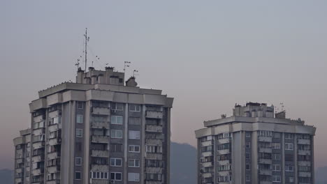 crows standing on the roof of a building at twilight