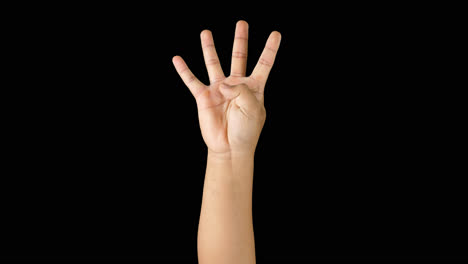 Hand Showing the Number Four