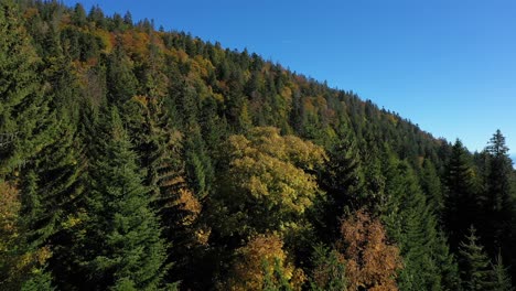 Eine-Drohne-Fliegt-über-Einen-Alpenwald-Mit-Blick-Auf-Einen-Großen-See-Und-Im-Fernen-Dunst-Ein-Majestätischer-Blick-Auf-Das-Massiv-Des-Mont-Blanc-Und-Die-Hohen-Gipfel-Der-Schweizer-Und-Französischen-Alpen