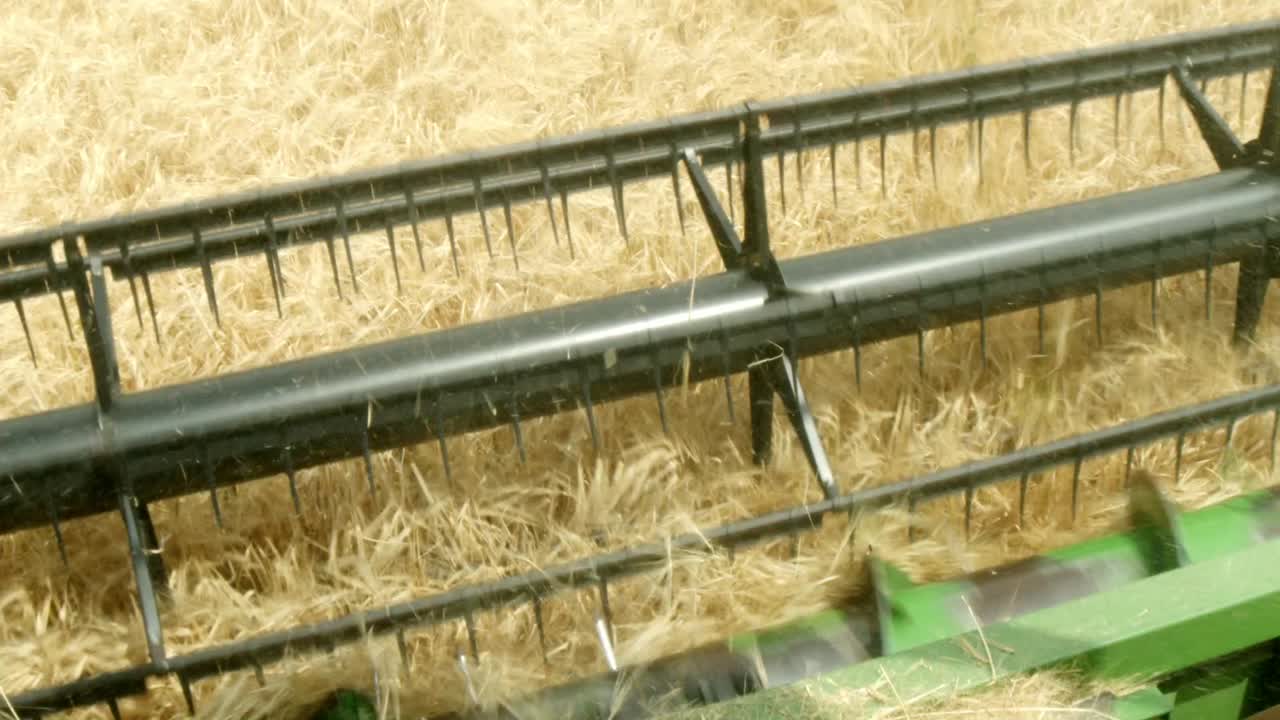 Combiner shreds weat in a close up, drivers point of view