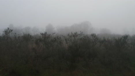 Cielo-Brumoso-Sobre-El-Paisaje-De-Pincel-Durante-La-Mañana-Brumosa