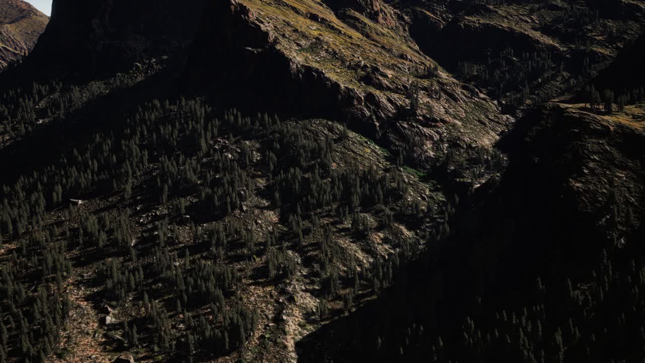 del panorama del bosque cónico en las montañas