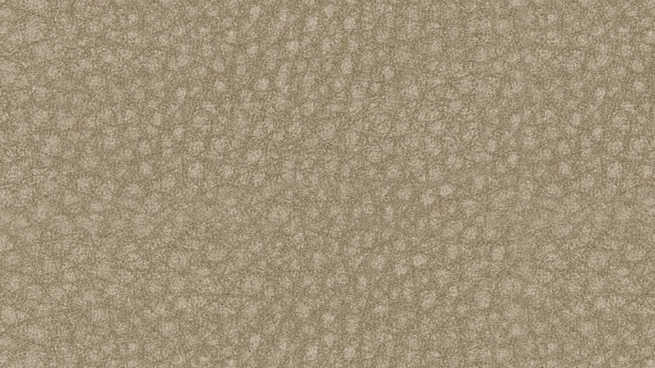 Macro slow-motion zoom highlights subtle grain of soft beige leather