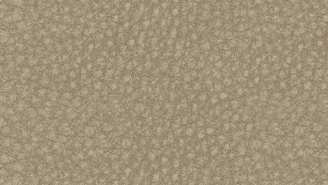 macro slow-motion zoom highlights subtle grain of soft beige leather