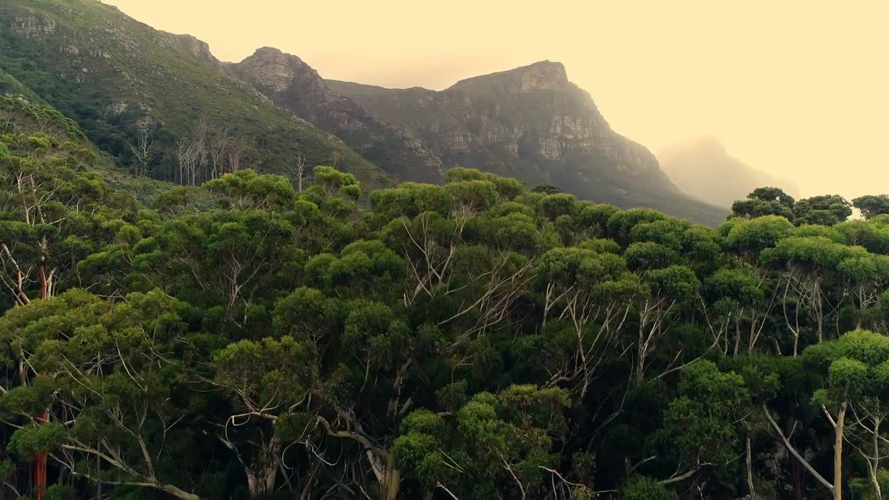 Groen bos en bergketens bij zonsondergang 4k